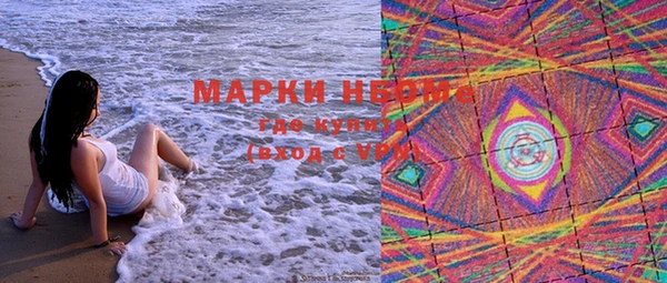 соль ск Пересвет