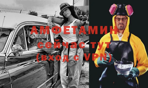 соль ск Пересвет