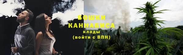 соль ск Пересвет