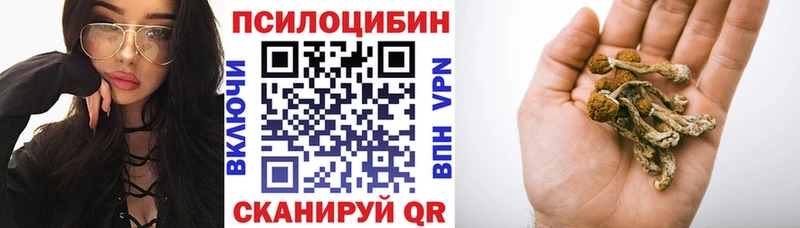 Галлюциногенные грибы MAGIC MUSHROOMS  Купить закладки  Рудня 